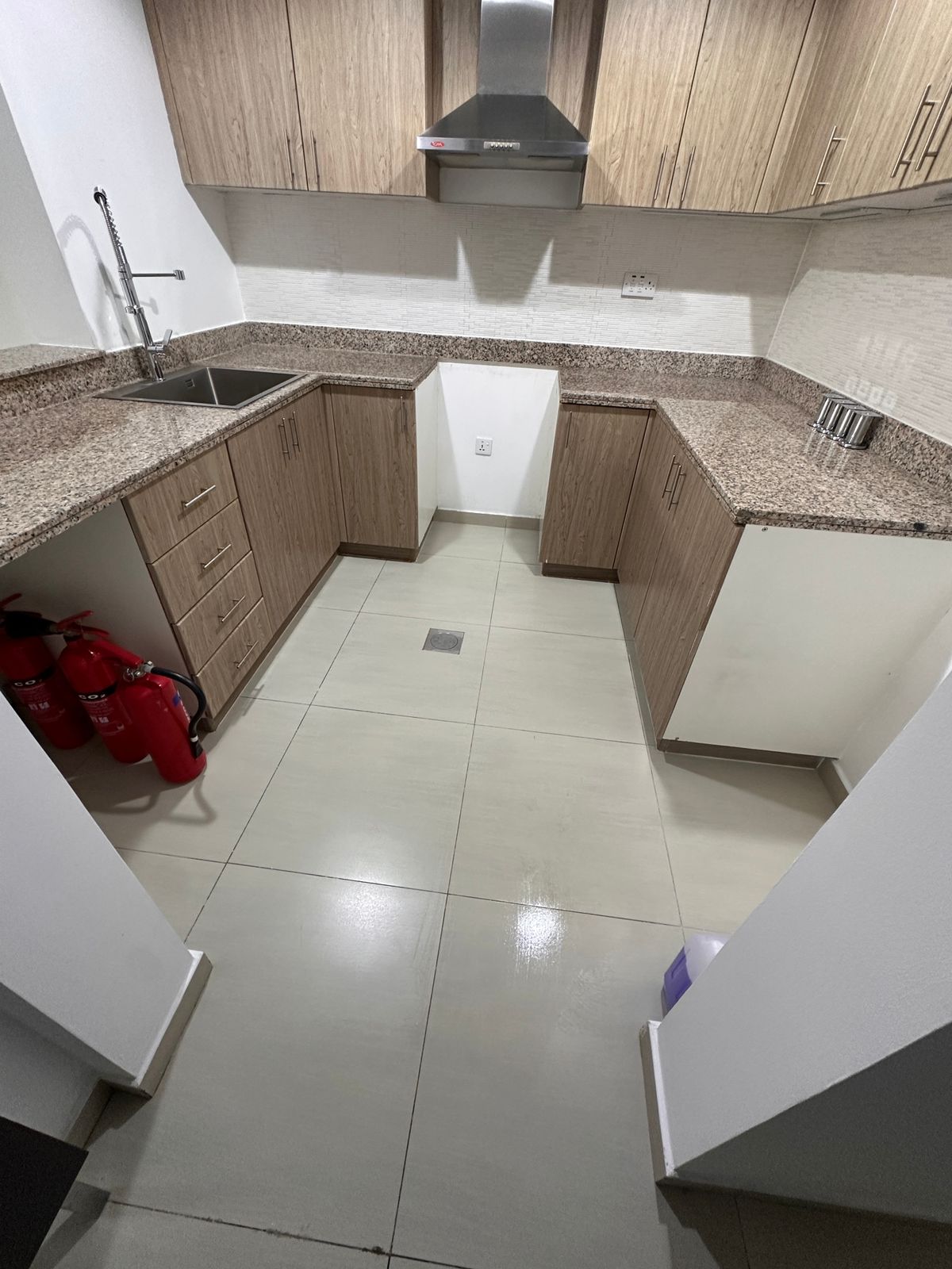 Professional Cleaning